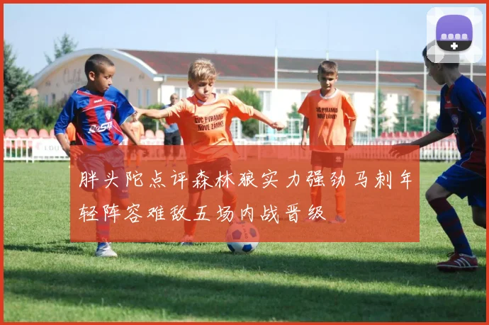 胖头陀点评森林狼实力强劲马刺年轻阵容难敌五场内战晋级